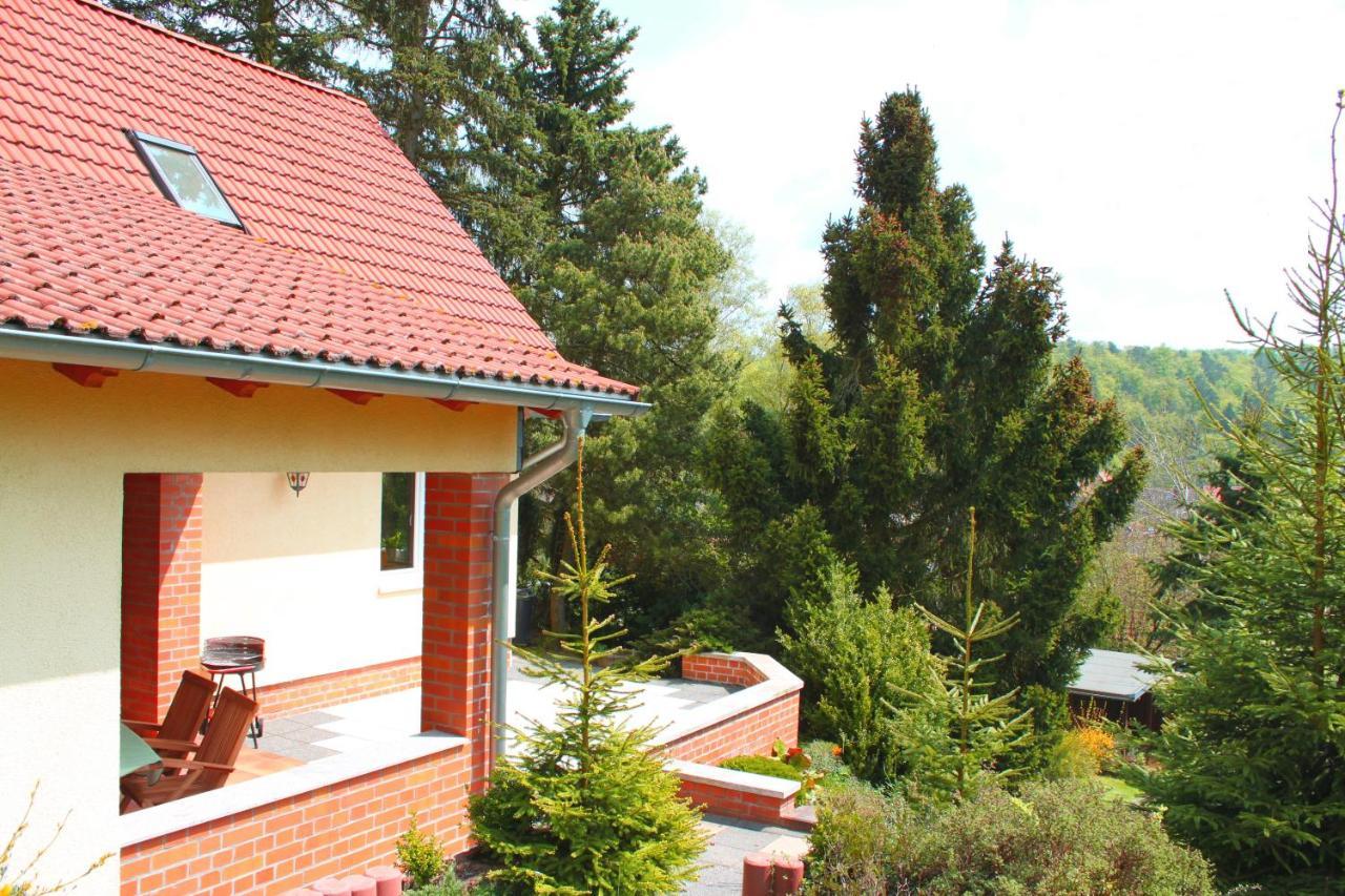 Ferienhaus Harzblick Güntersberge المظهر الخارجي الصورة