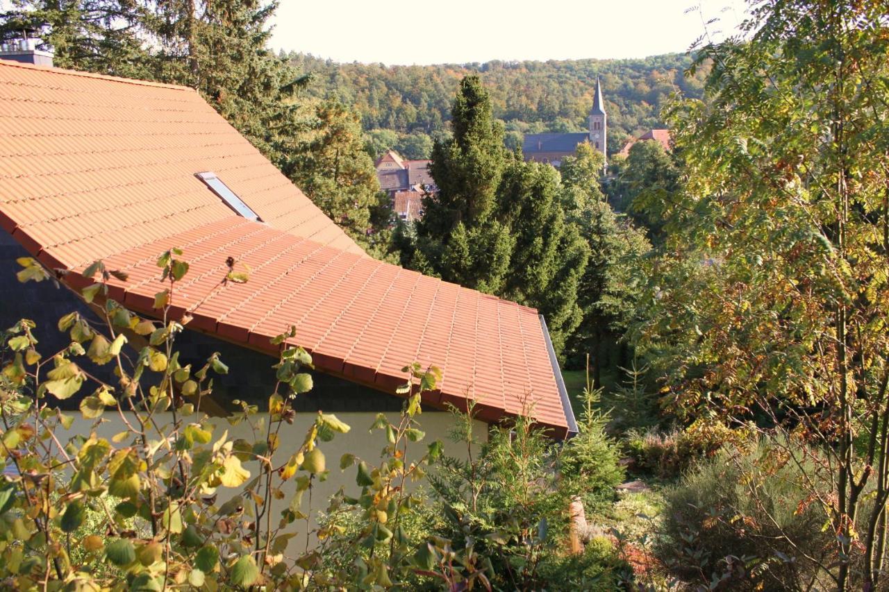 Ferienhaus Harzblick Güntersberge المظهر الخارجي الصورة