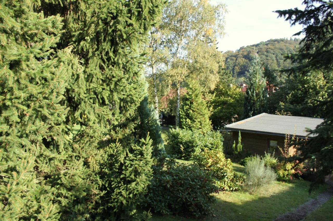Ferienhaus Harzblick Güntersberge المظهر الخارجي الصورة
